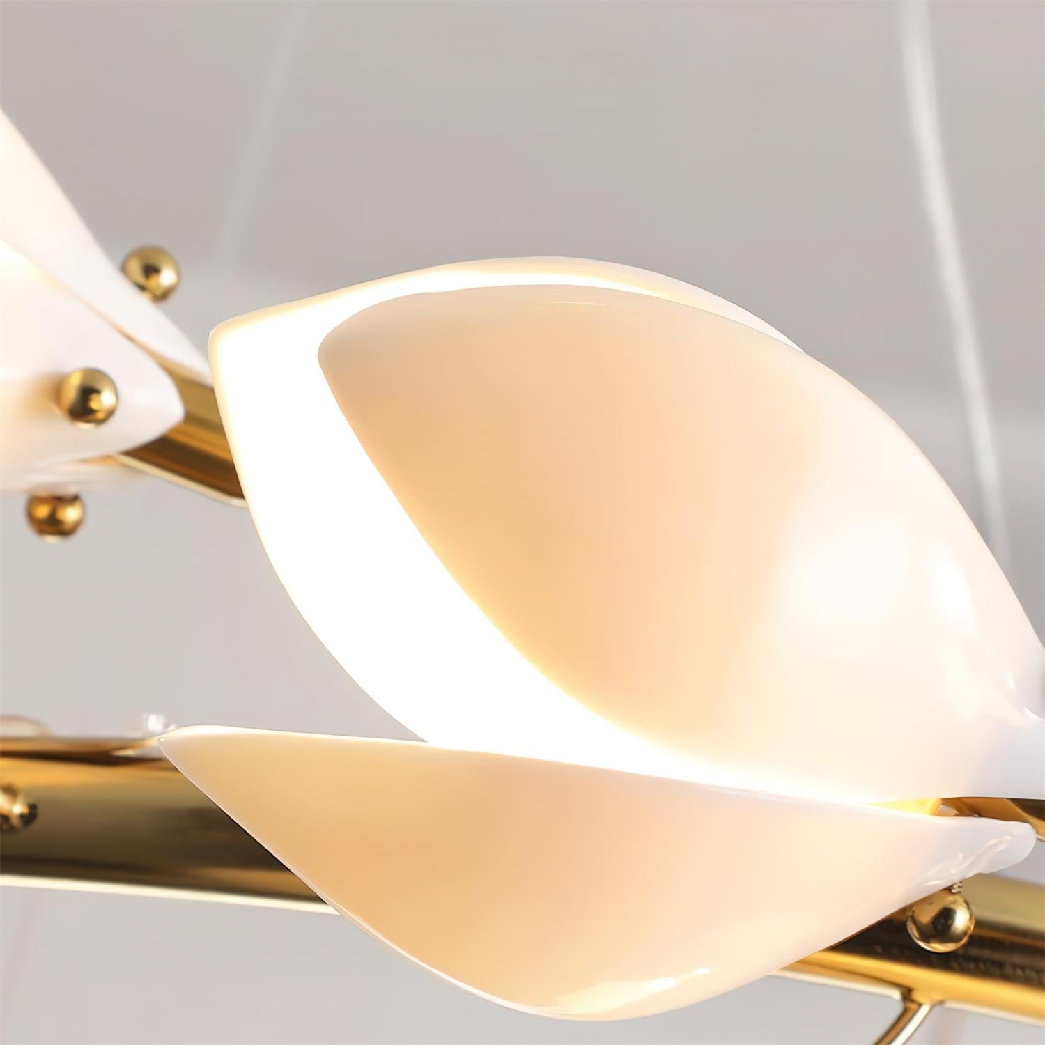 Lilyloop Chandelier