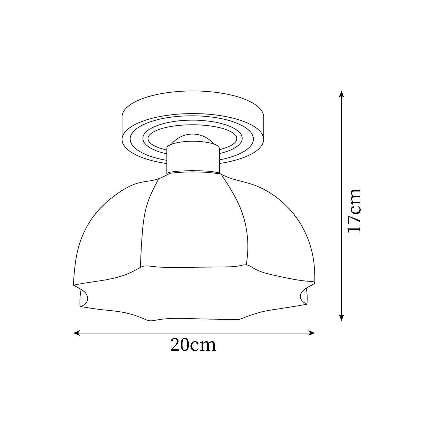 Livex Ceiling Light