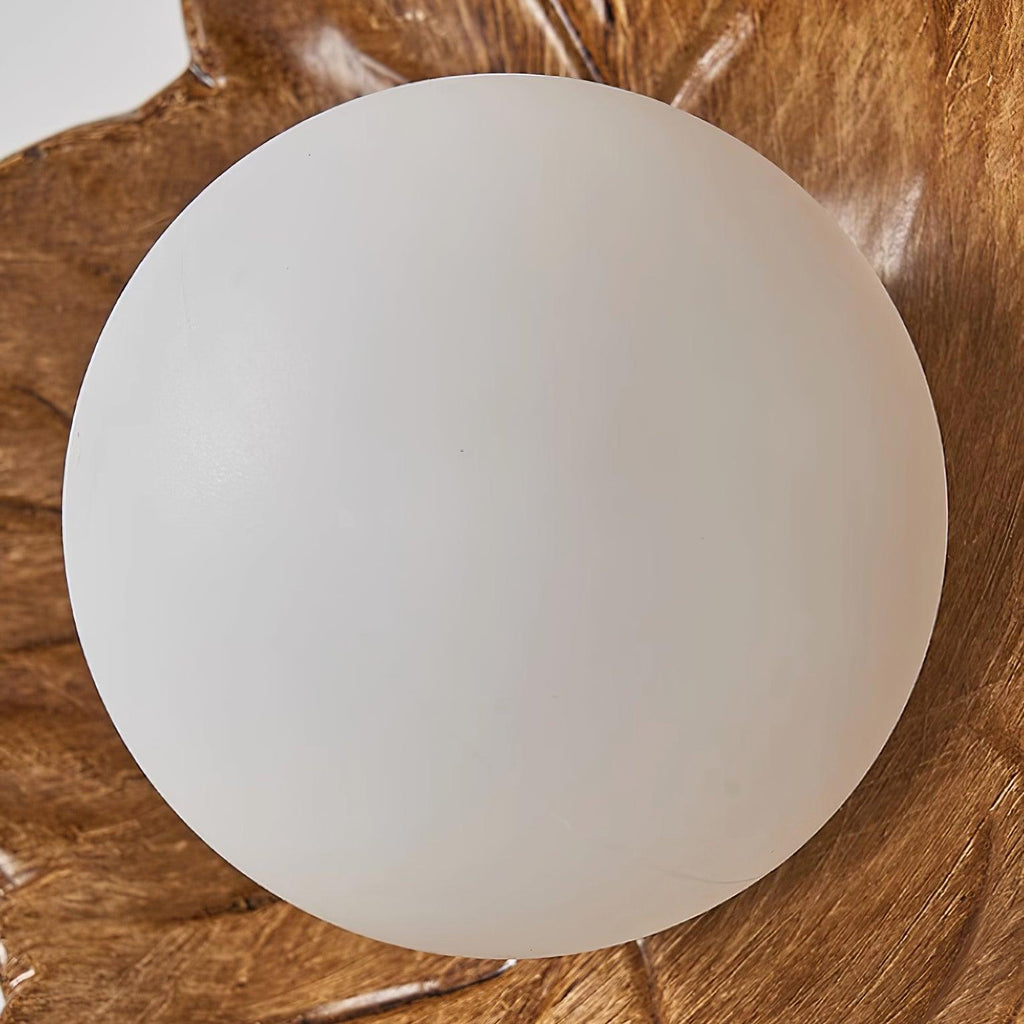 Maple Leaf Wall Light