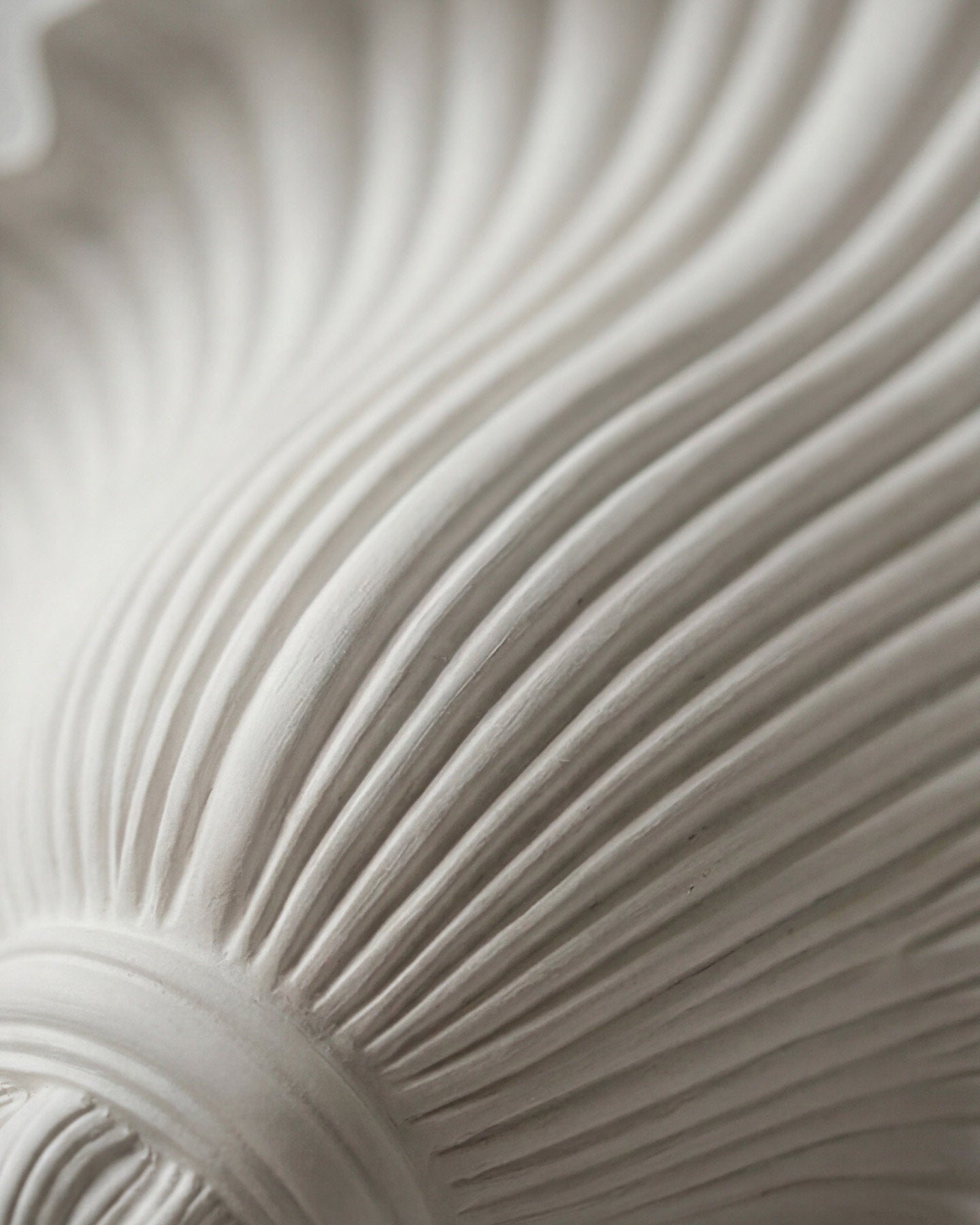 Mariselle Wall Sconce