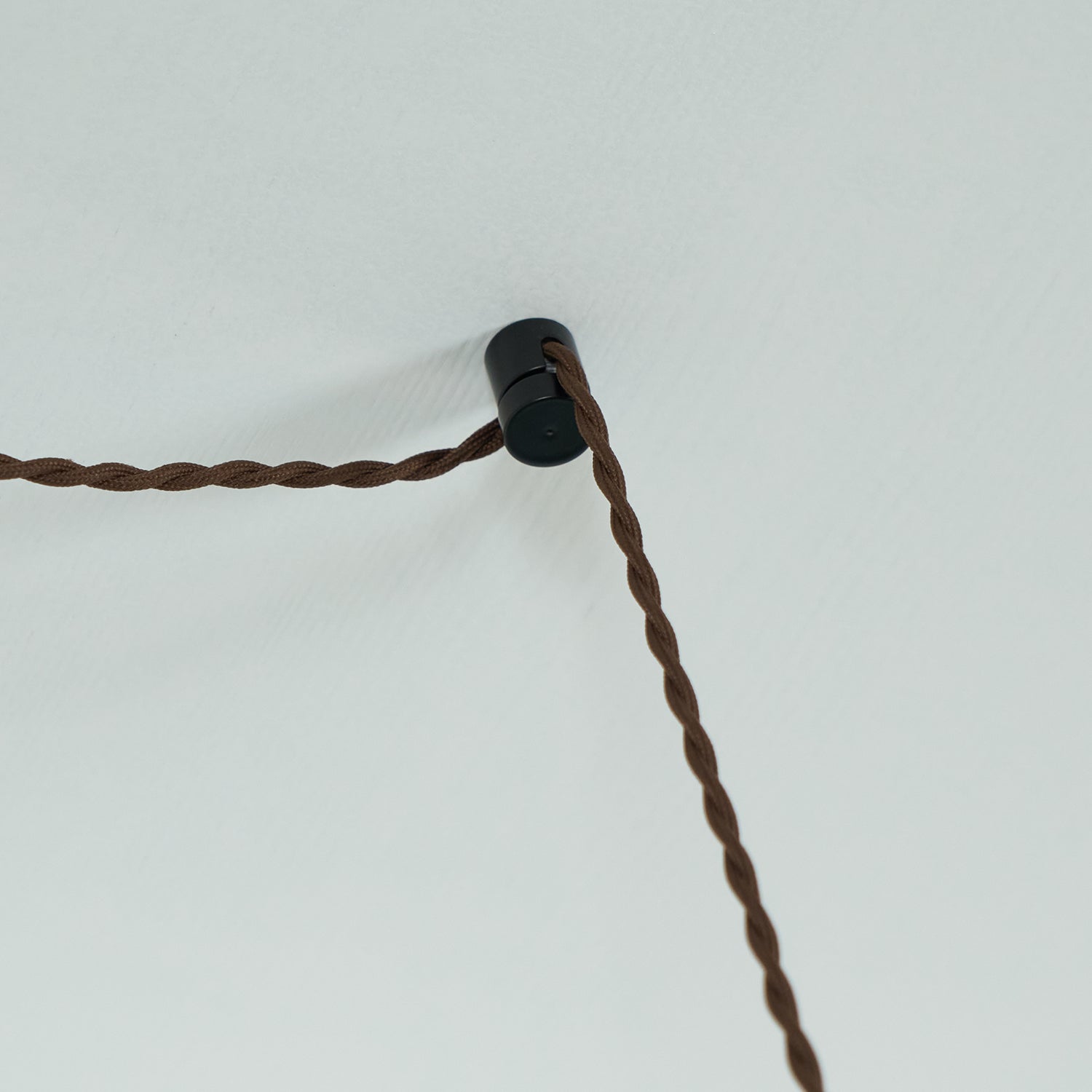 Chara Plug In Pendant Lamp