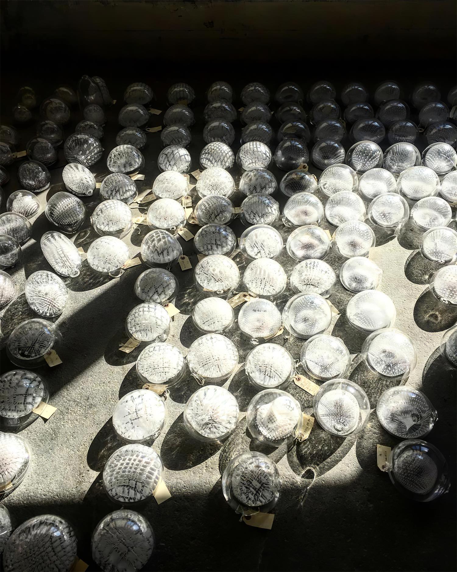 Mesh Glass Chandelier