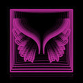 Angel Devil Wings Infinity Neon Sign