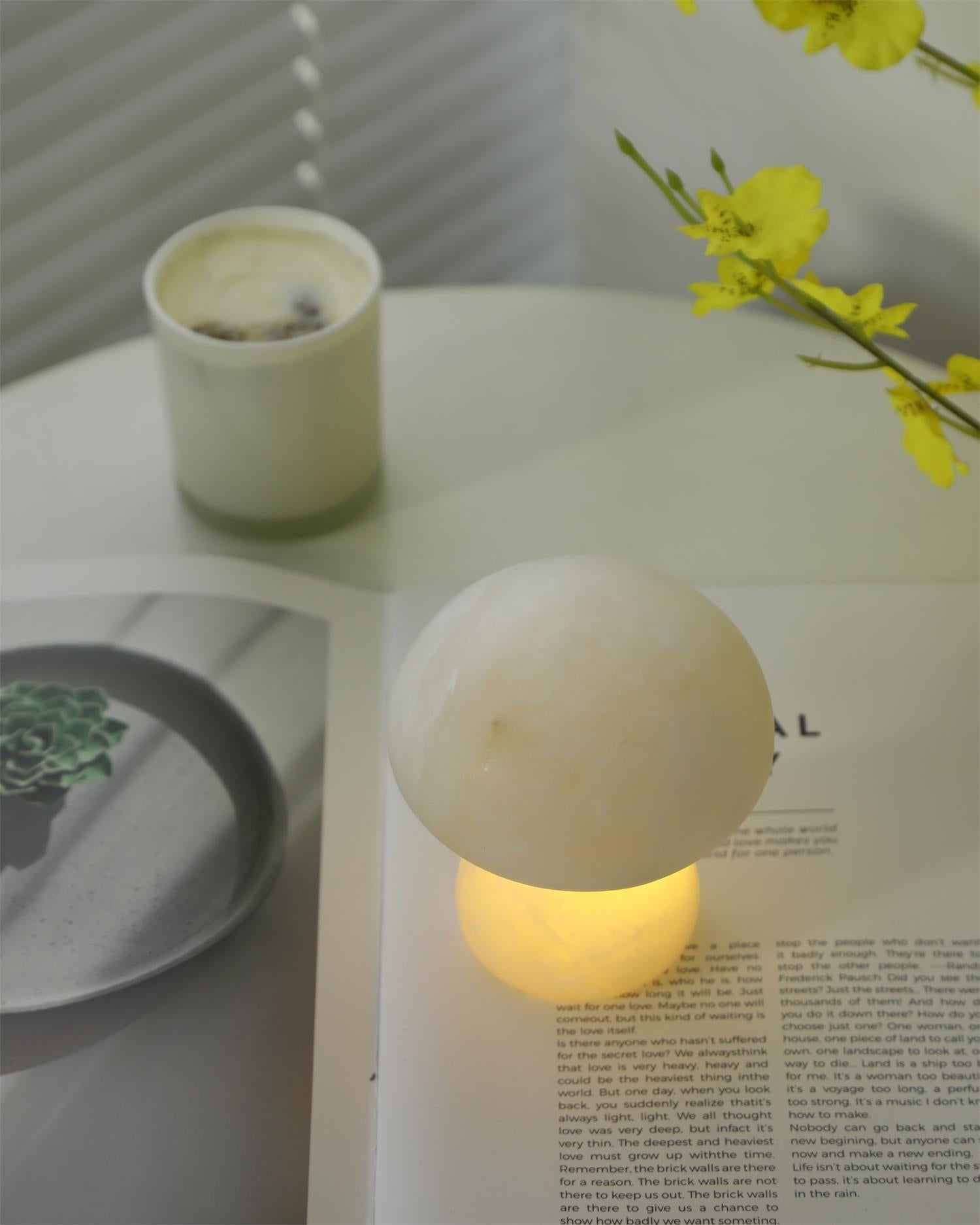 Mushora Table Lamp (built-in battery)
