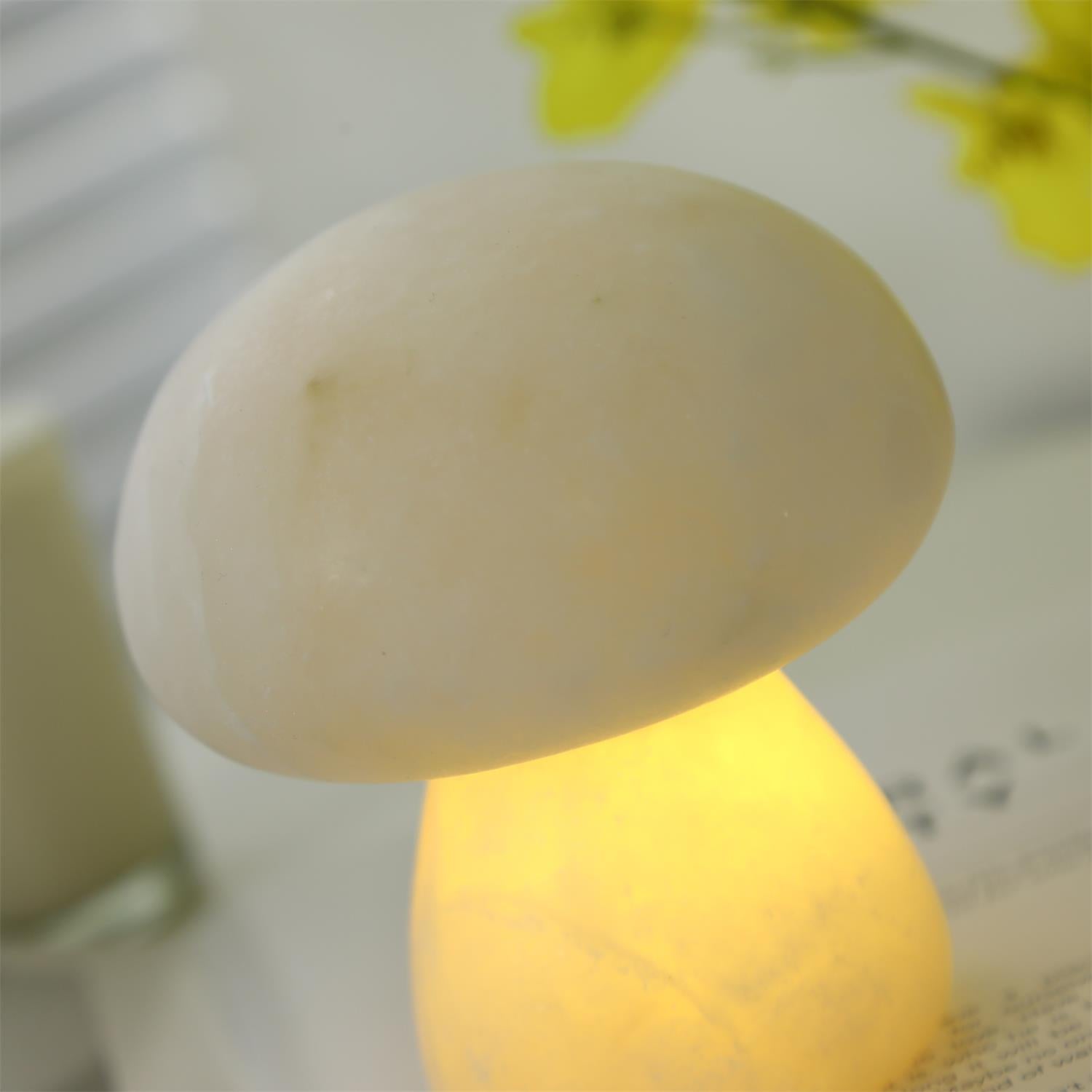 Mushora Table Lamp (built-in battery)