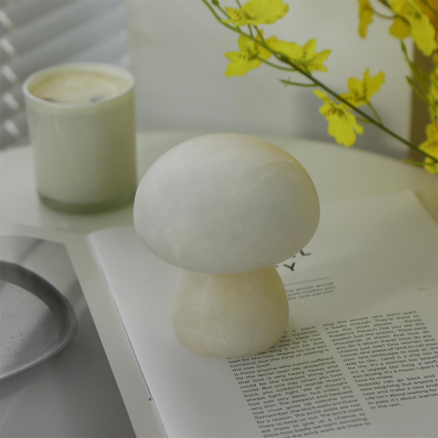Mushora Table Lamp (built-in battery)