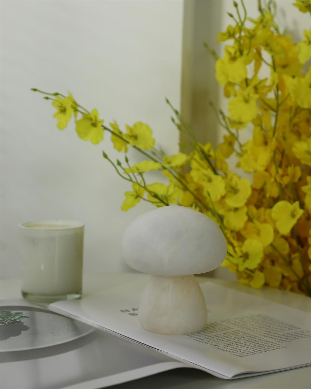 Mushora Table Lamp (built-in battery)