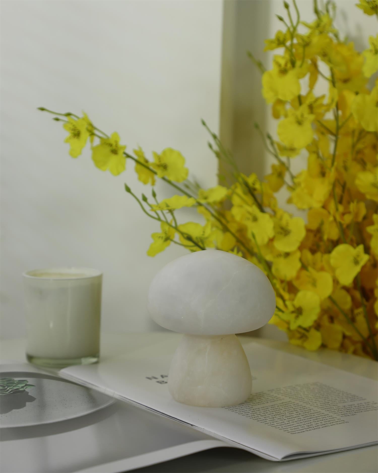 Mushora Table Lamp (built-in battery)