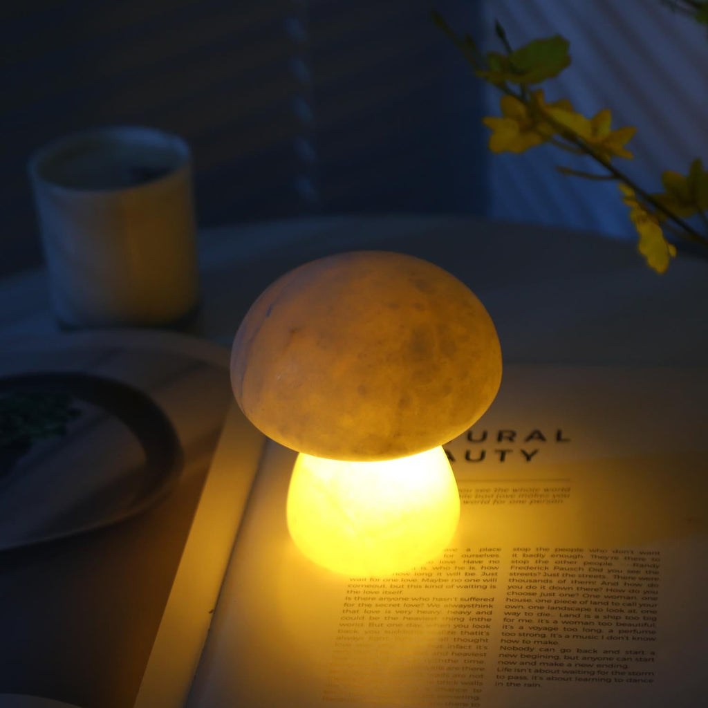 Mushora Table Lamp (built-in battery)
