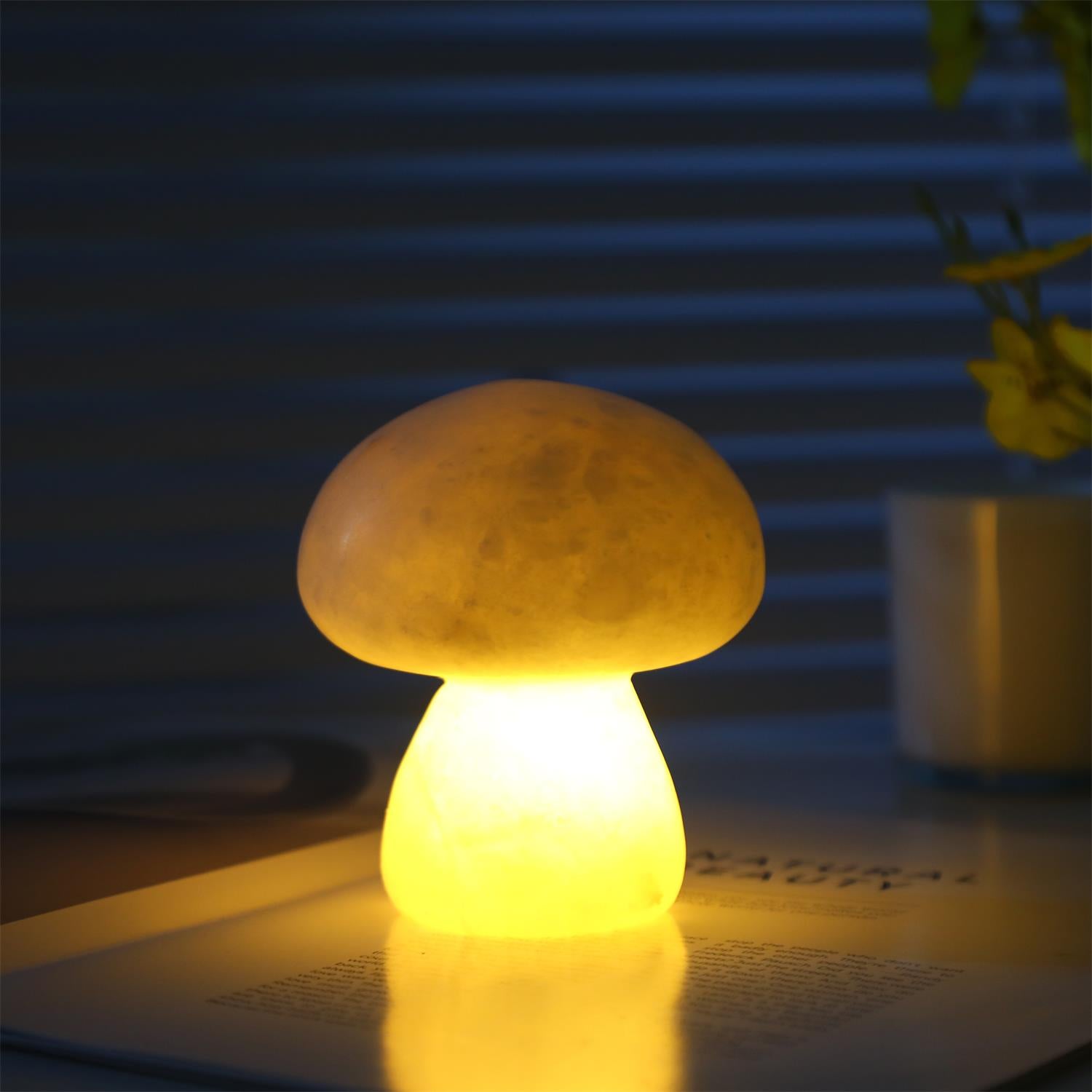 Mushora Table Lamp (built-in battery)
