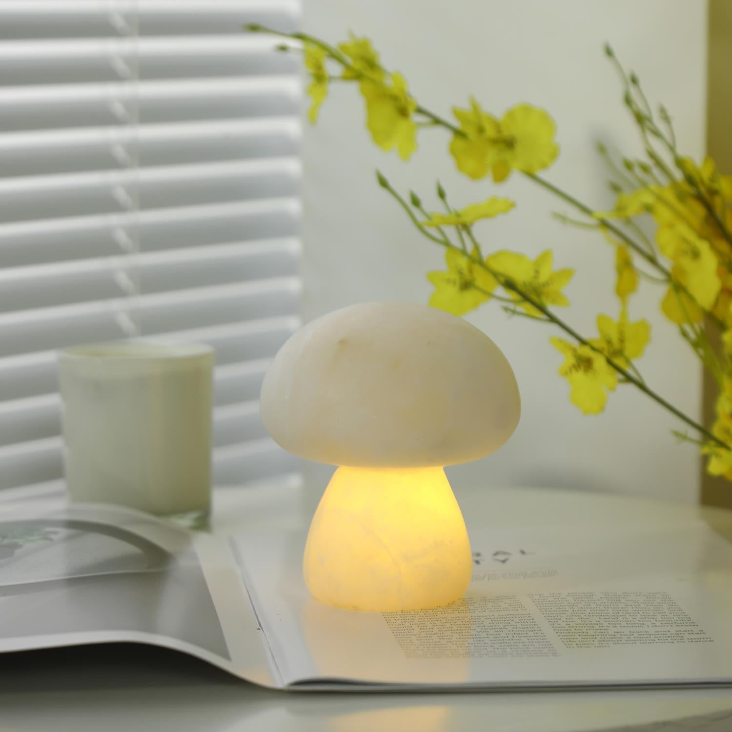 Mushora Table Lamp (built-in battery)