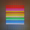 RAINBOW COLOR PLAY neon signs