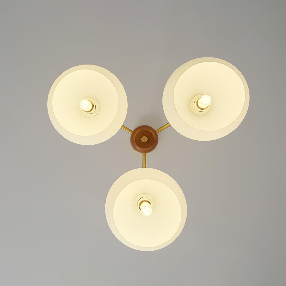 Raito Glass Chandelier