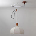 Revi Swing Arm Pendant Light