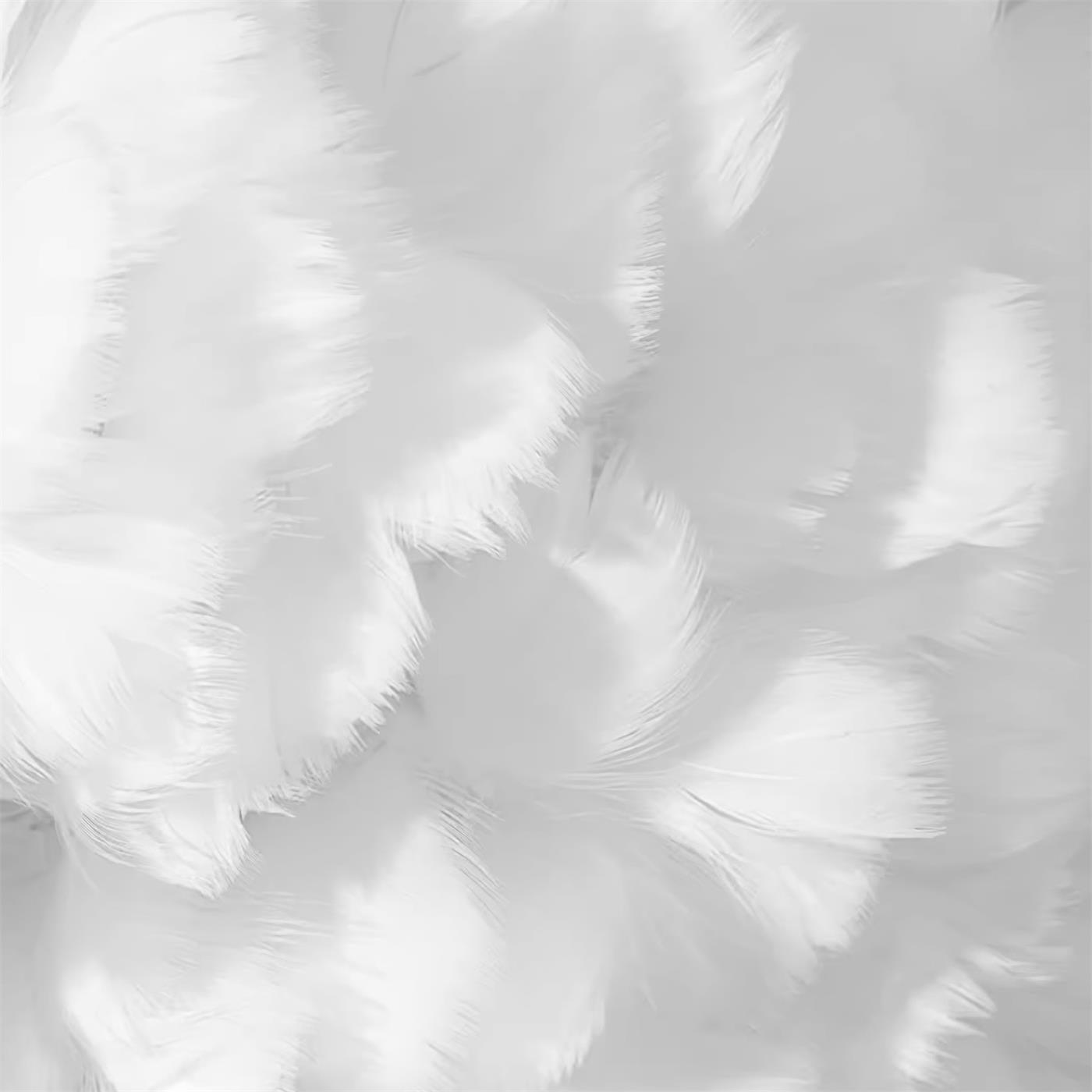 Rora Feather Ceiling Light