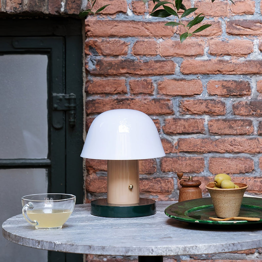 Touch Charge Mushroom Lamp