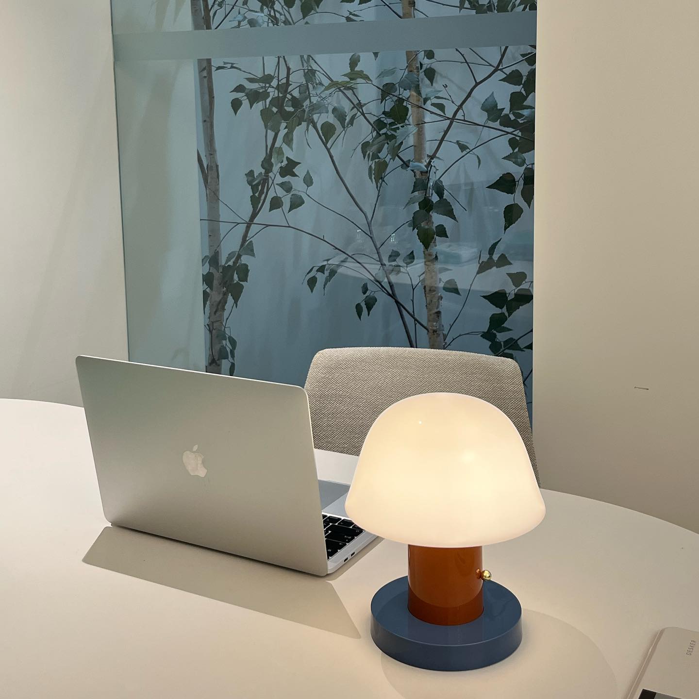 Touch Charge Mushroom Lamp