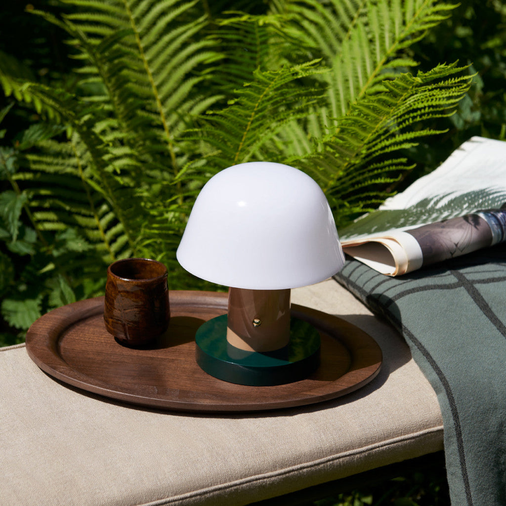 Touch Charge Mushroom Lamp