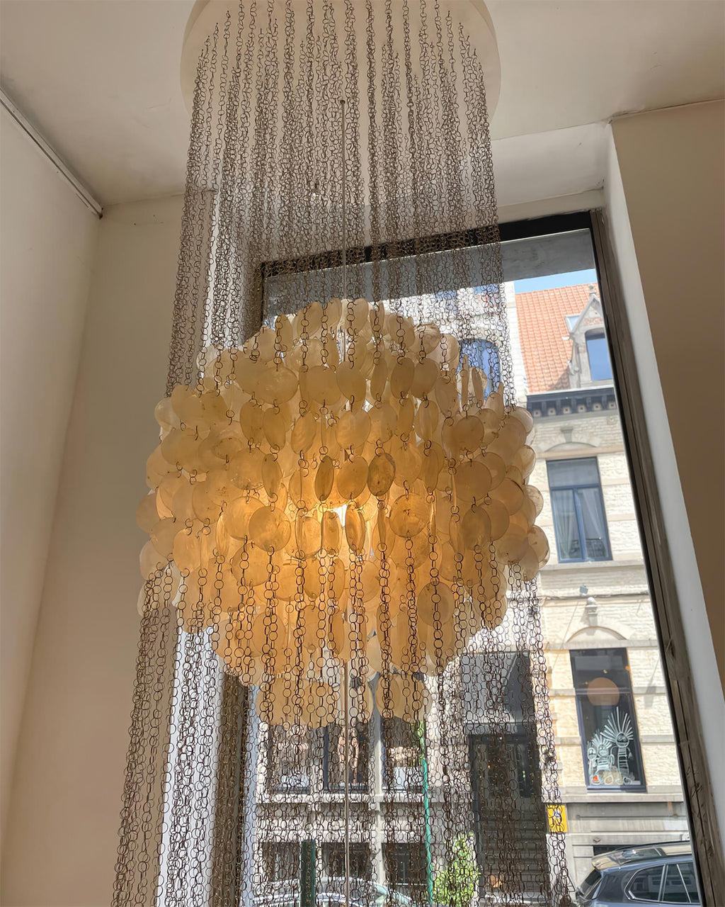 Shell Collections Chandelier