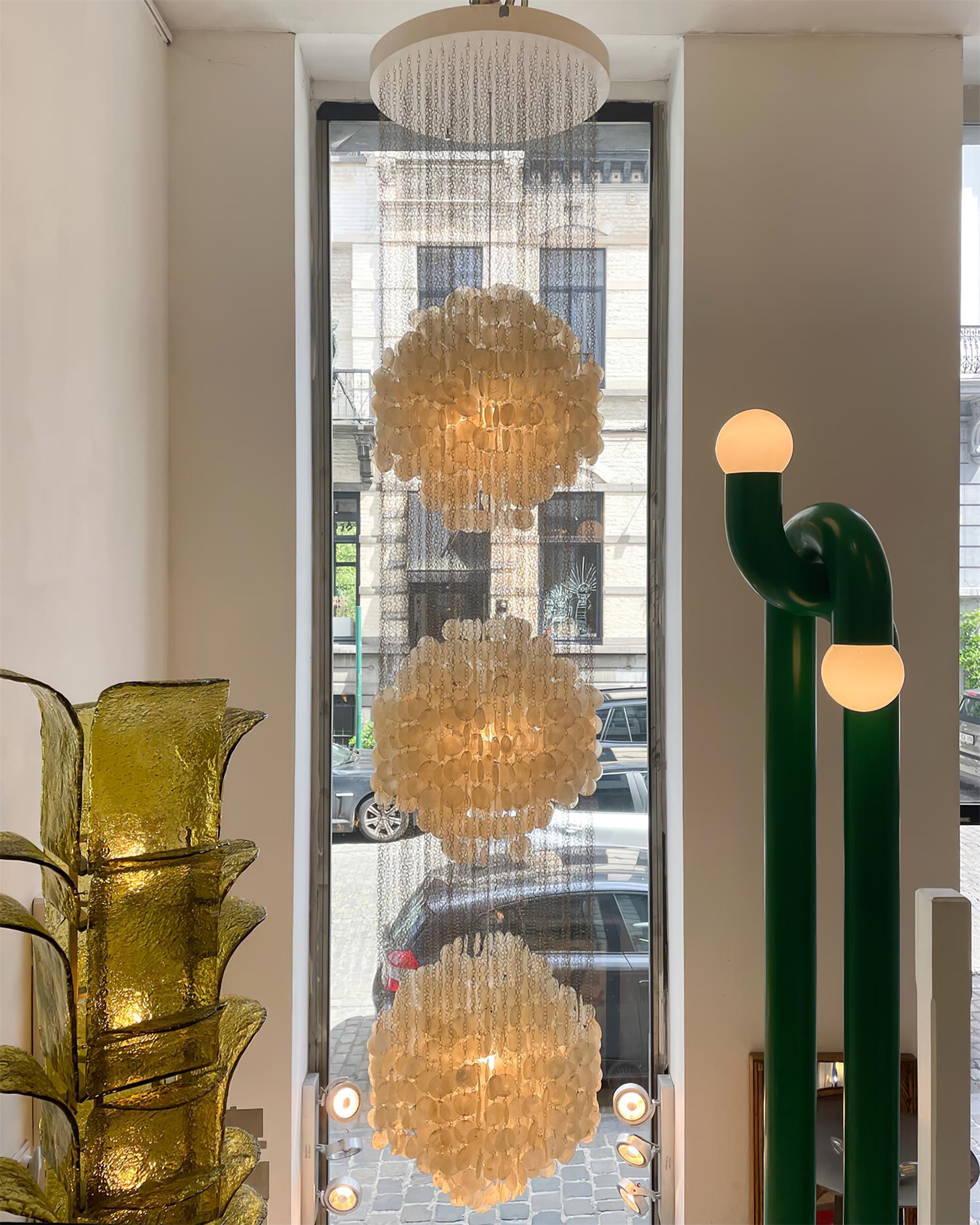 Shell Collections Chandelier