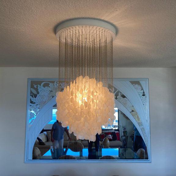 Shell Collections Chandelier
