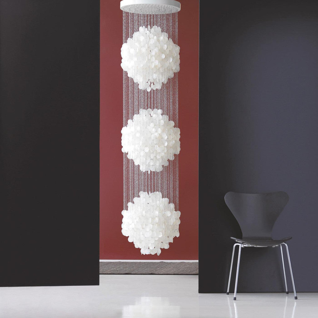 Shell Collections Chandelier