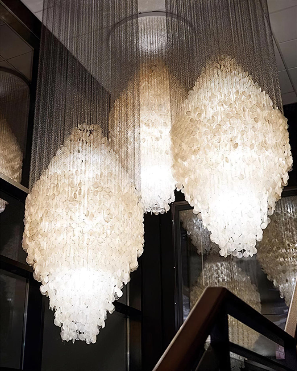 Shell Collections Chandelier