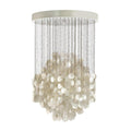 Shell Collections Chandelier