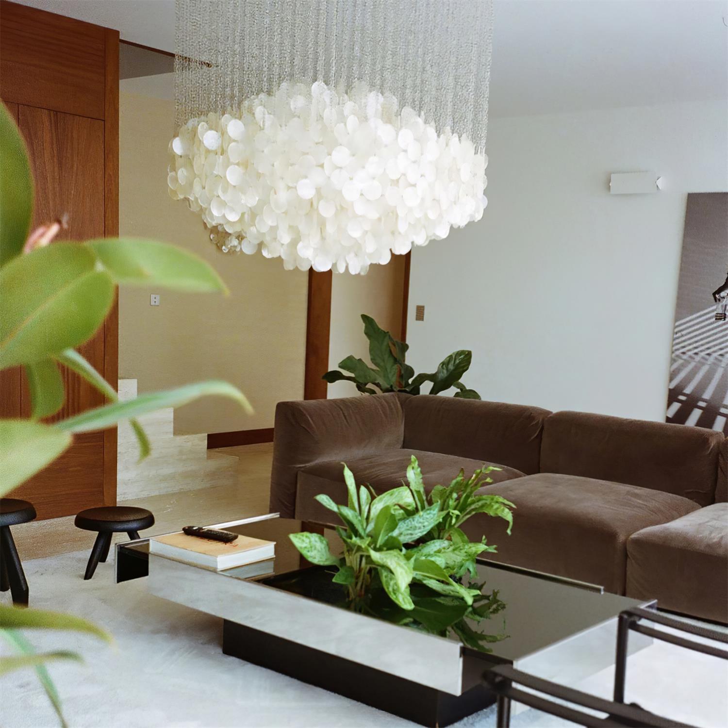 Shell Collections Chandelier