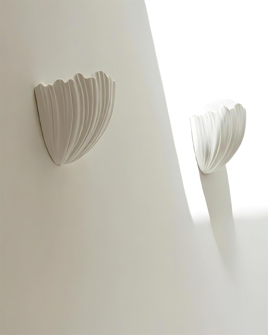 Shellora Wall Lamp