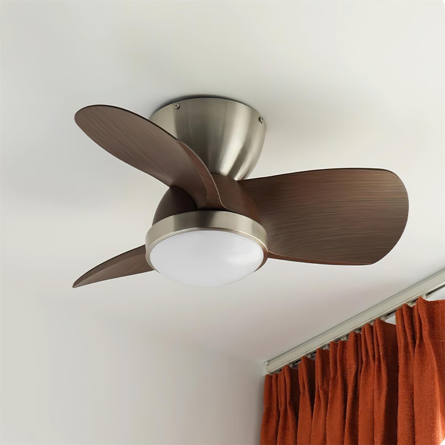Talaya 24″ Ceiling Fan Light