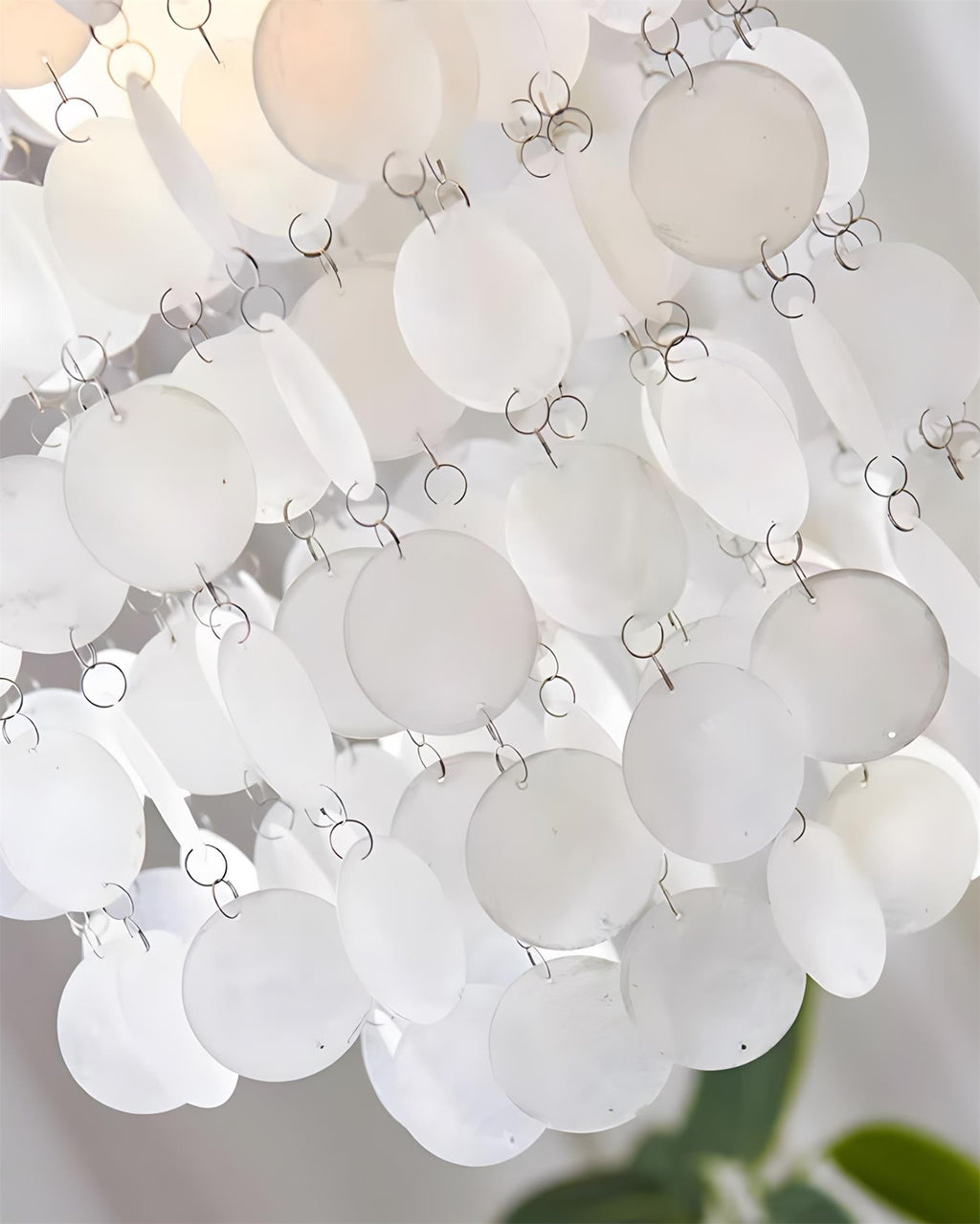 Tirenza Shell Chandelier