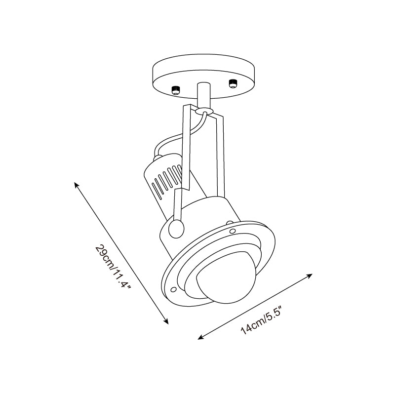 Triton Focus Ceiling Lamp