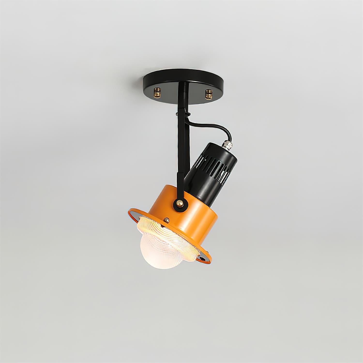 Triton Focus Ceiling Lamp