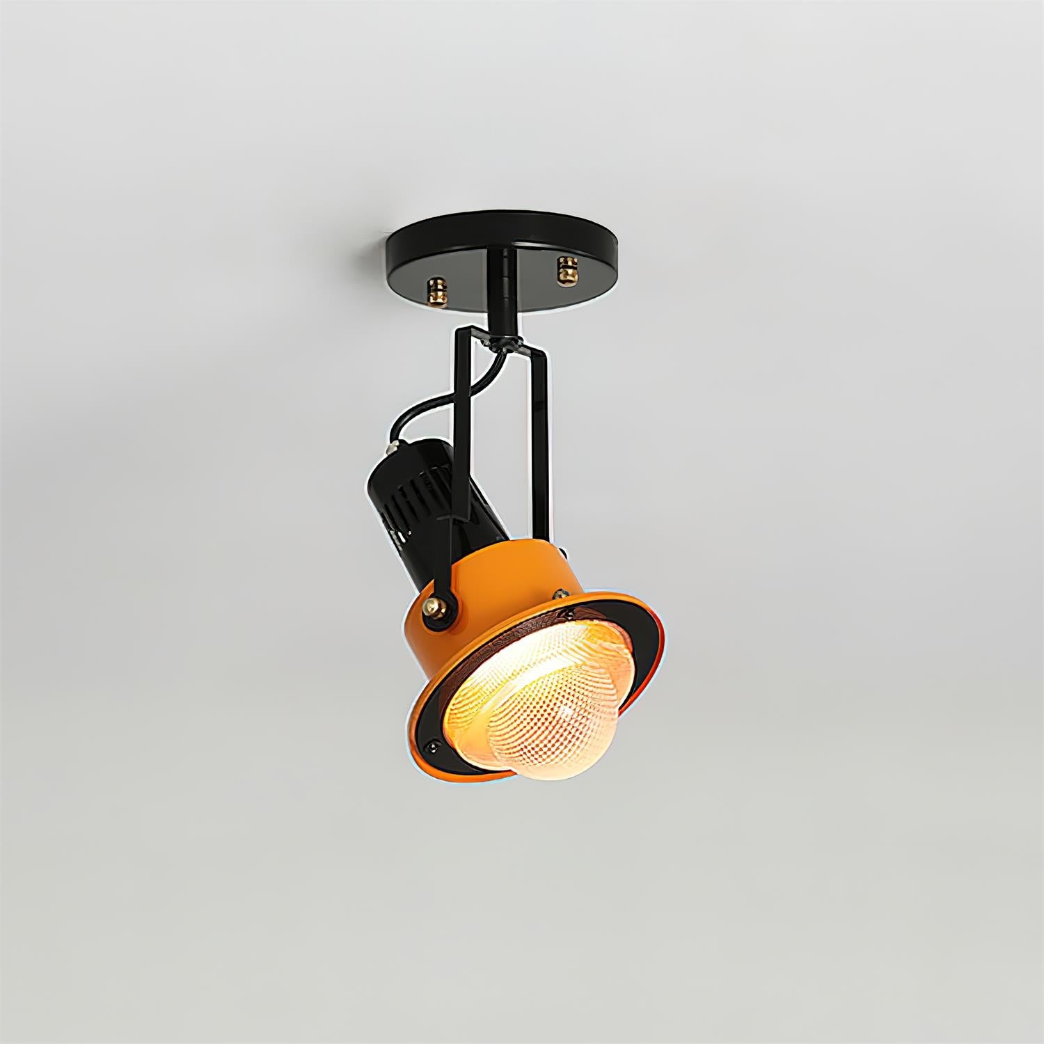 Triton Focus Ceiling Lamp