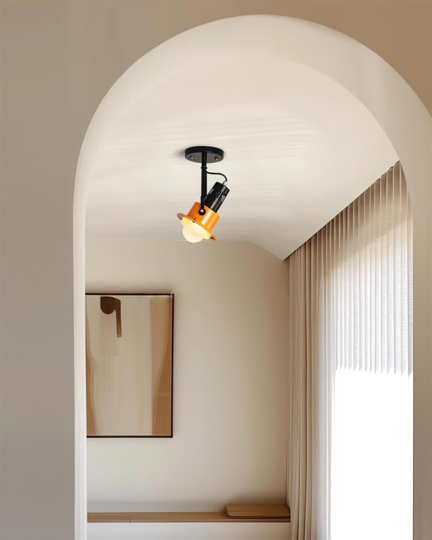 Triton Focus Ceiling Lamp
