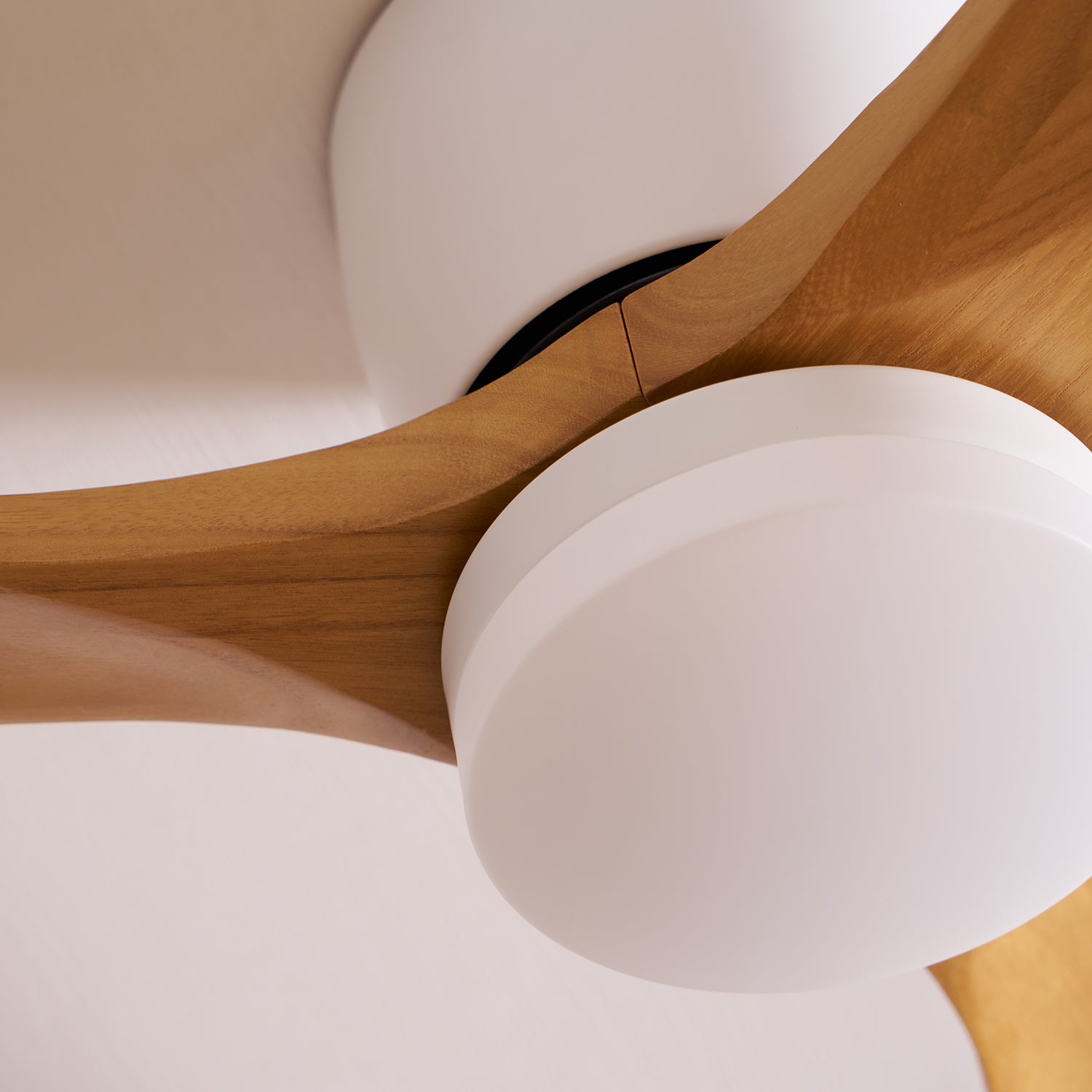 Vento Lumina 42"/48"/52" Ceiling Fan Light