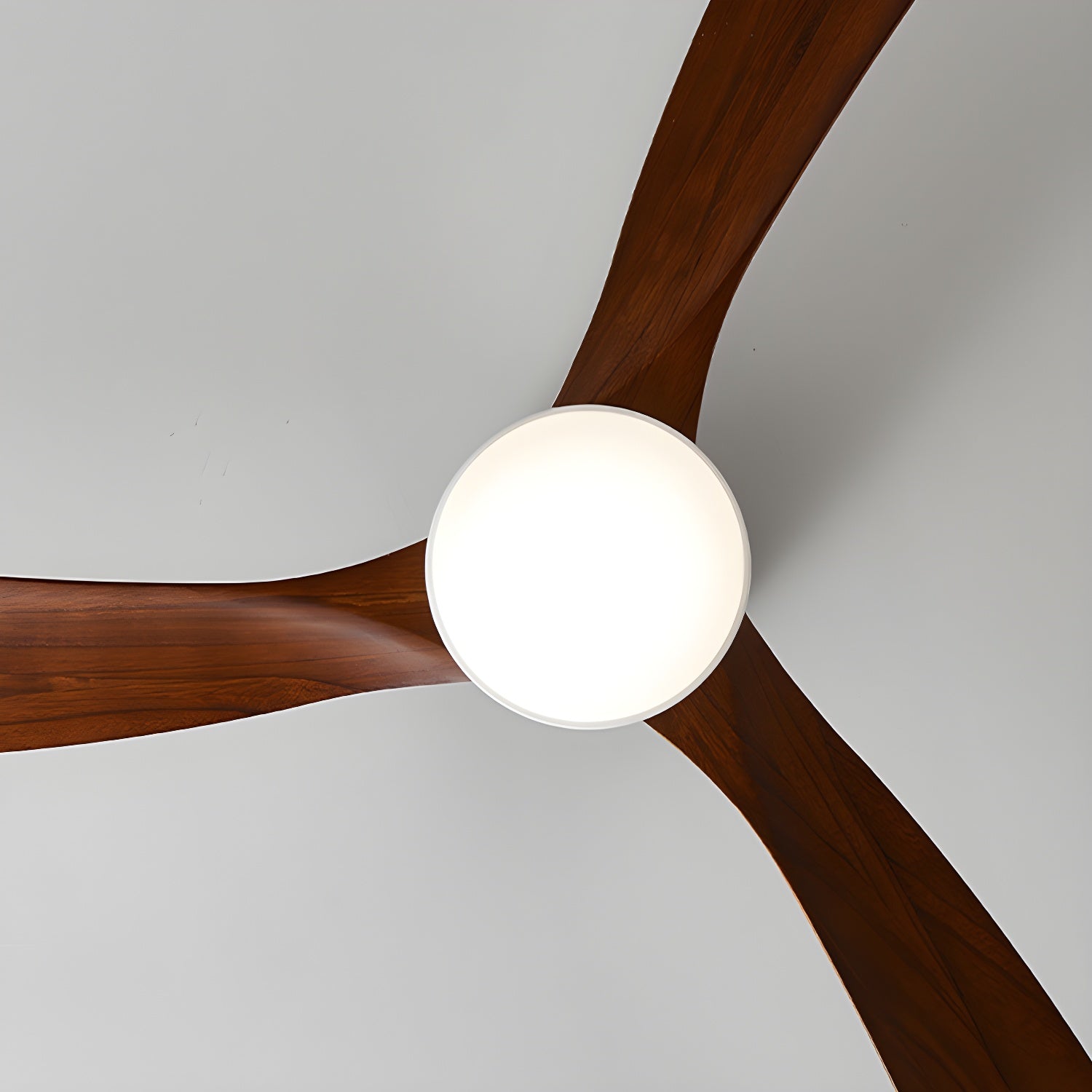 Vento Lumina 42"/48"/52" Ceiling Fan Light