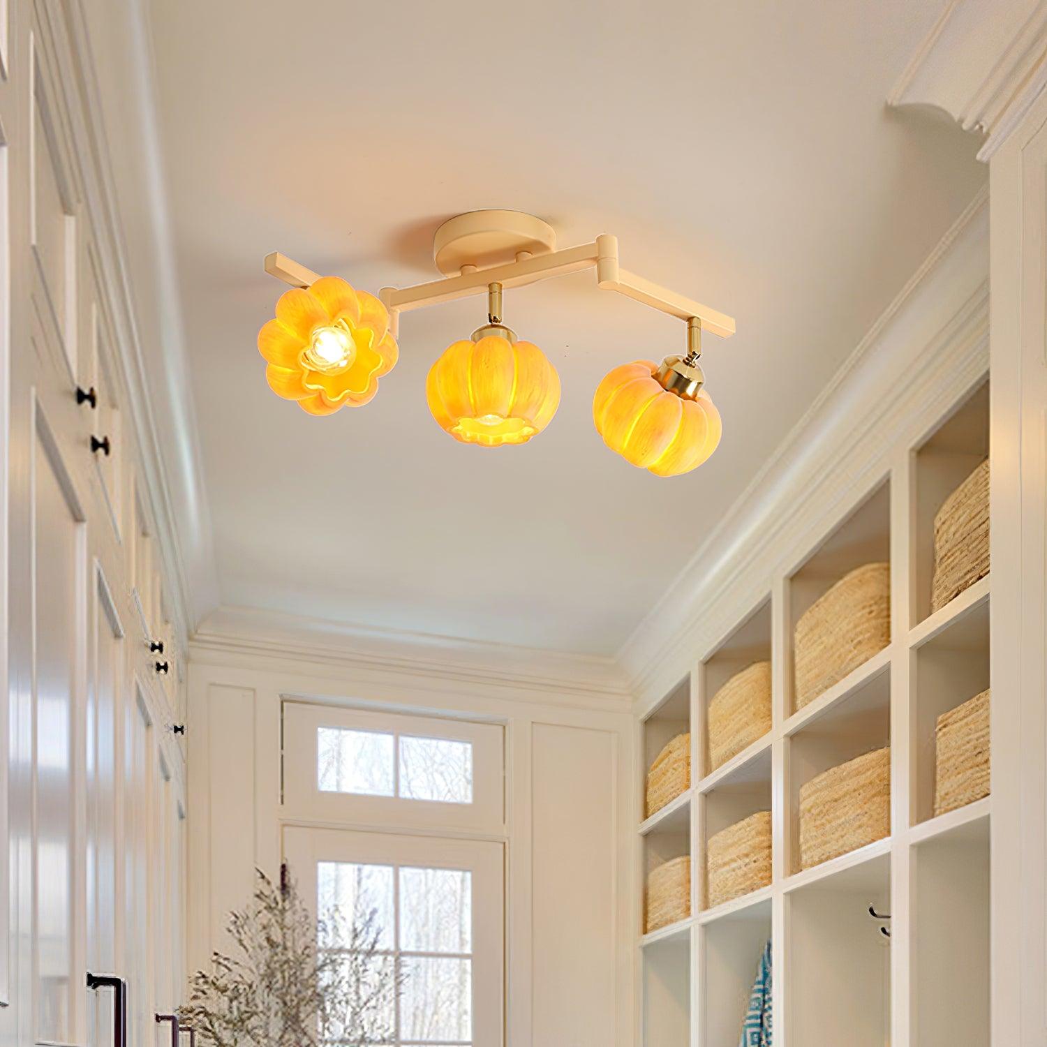 Venus Pumpkin Ceiling Lamp