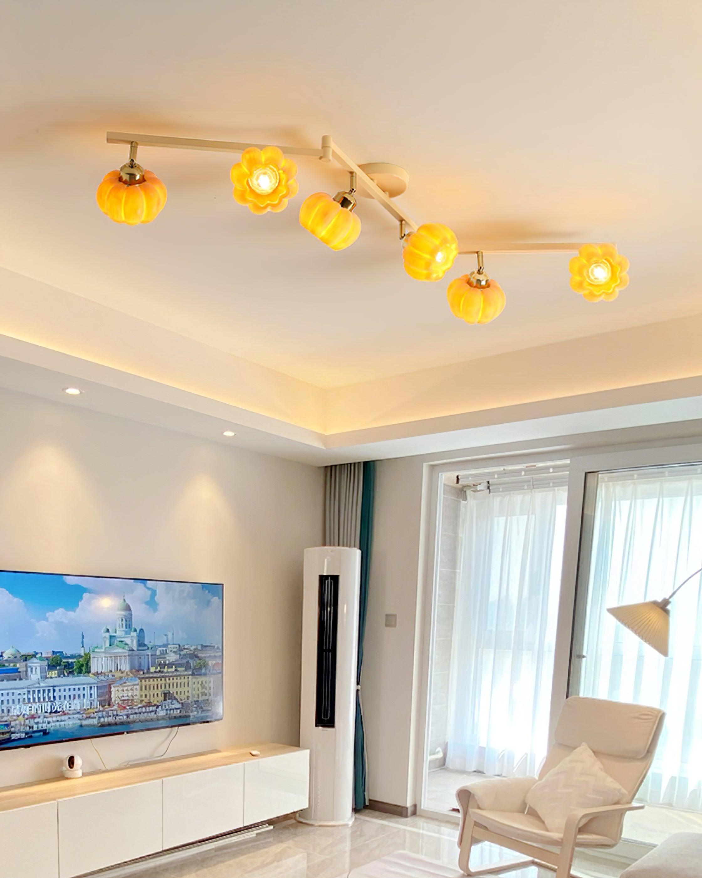 Venus Pumpkin Ceiling Lamp