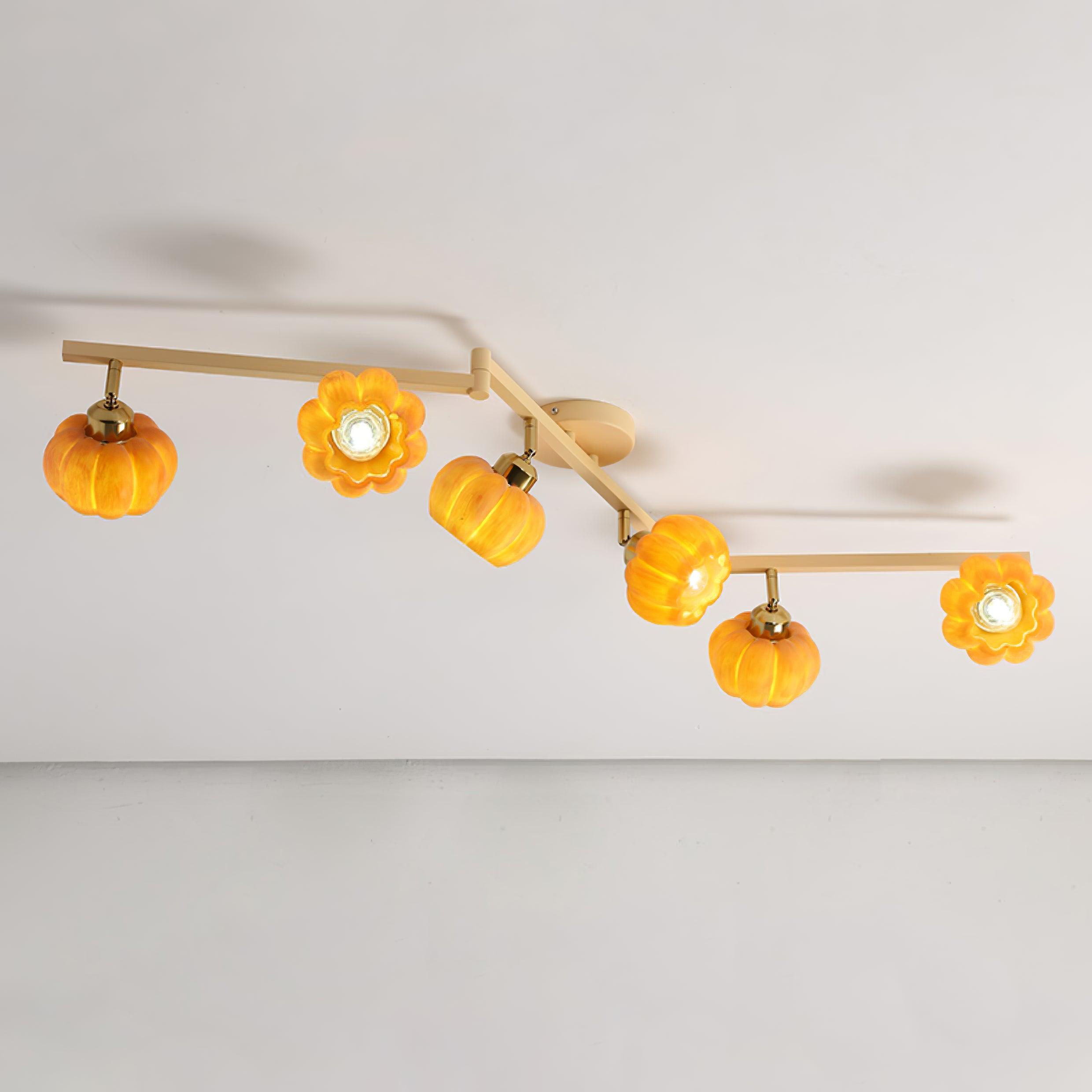 Venus Pumpkin Ceiling Lamp