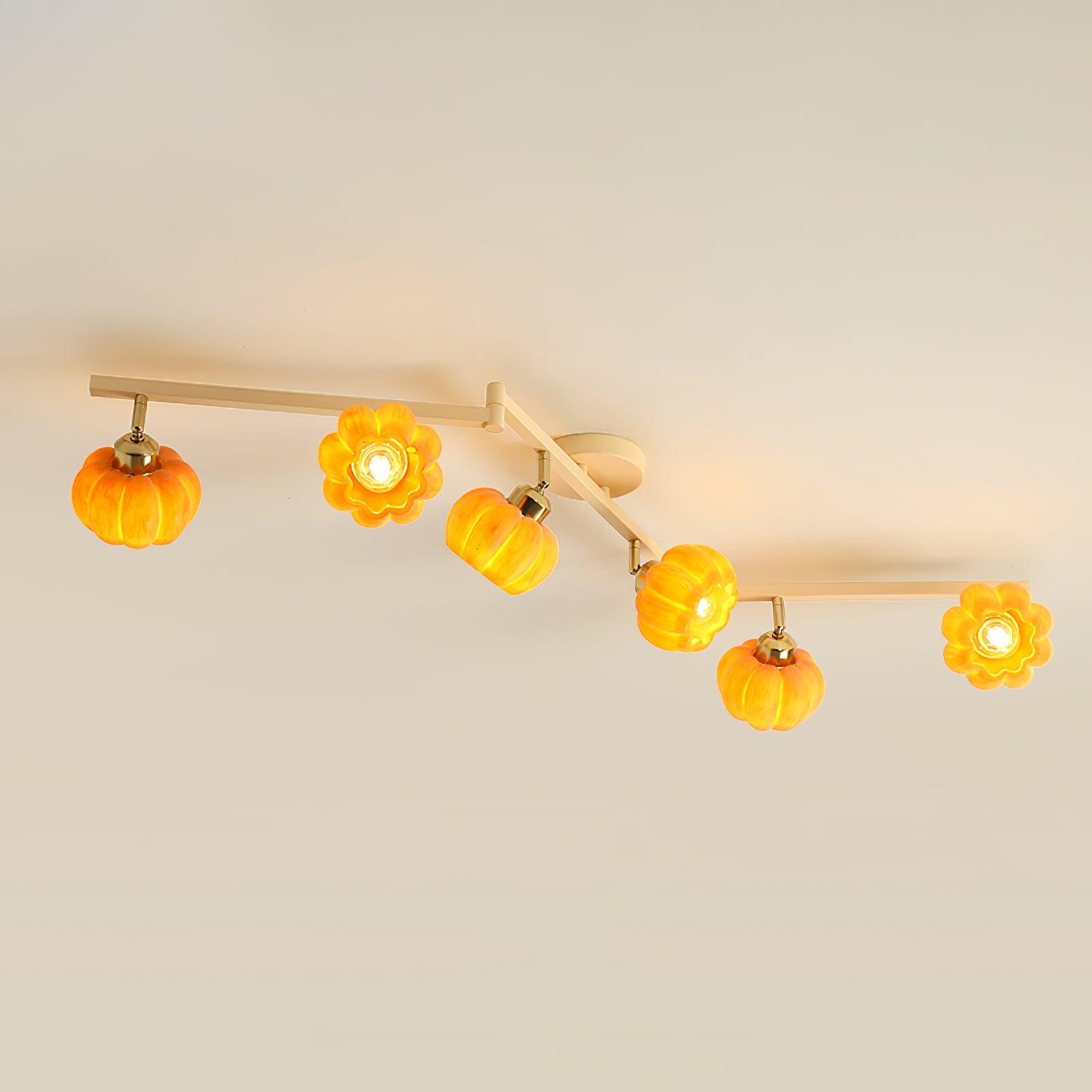 Venus Pumpkin Ceiling Lamp