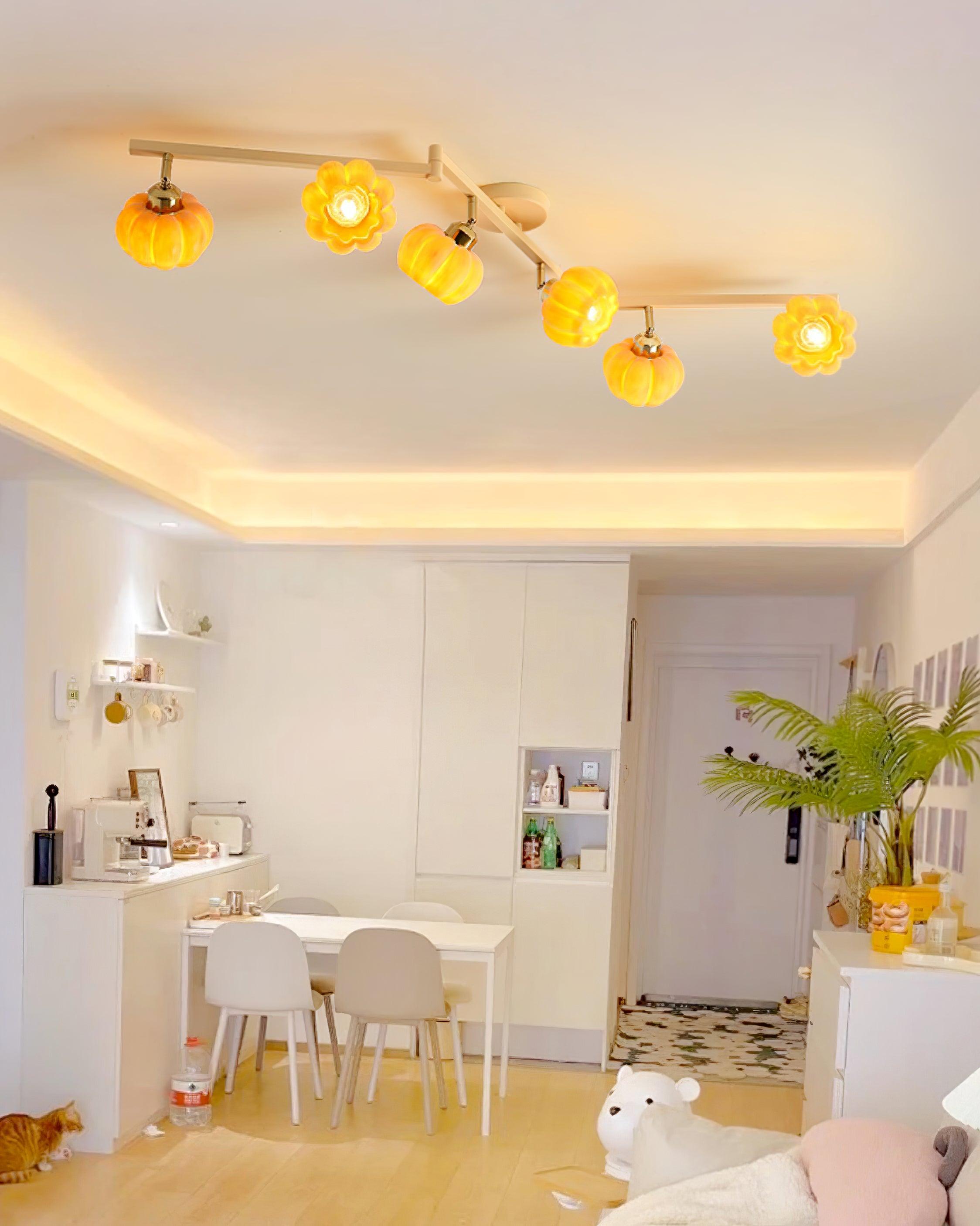 Venus Pumpkin Ceiling Lamp