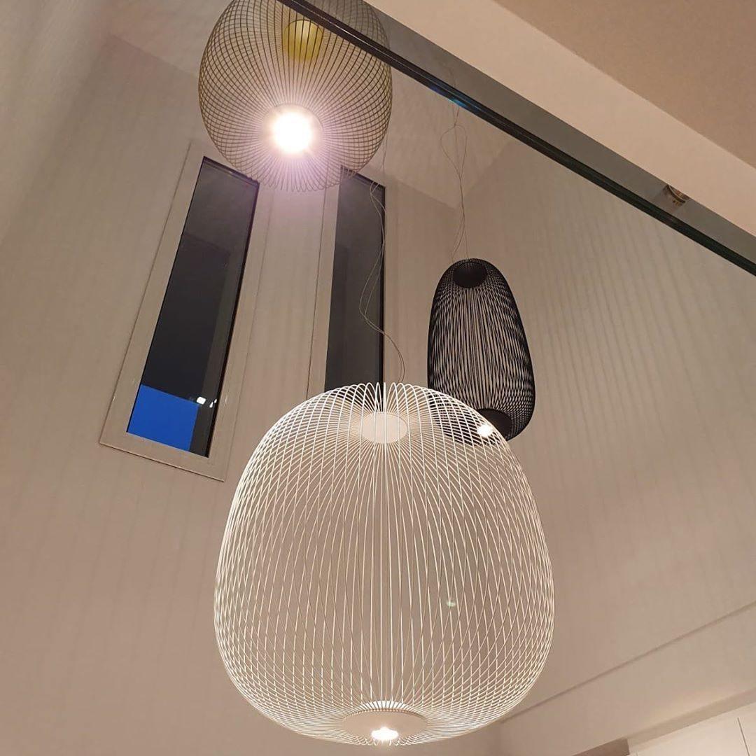 Lightweight Spokes Cage Pendant Lamp