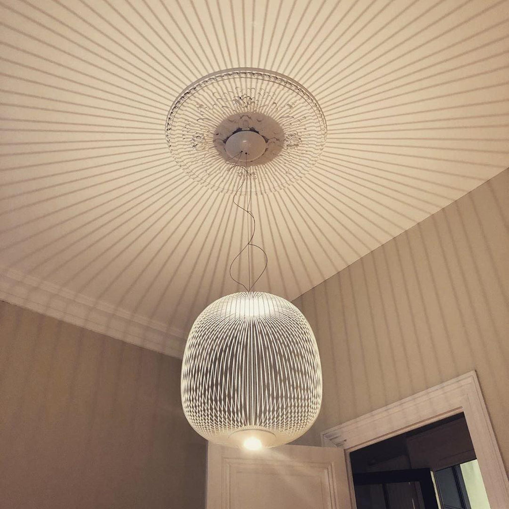 Lightweight Spokes Cage Pendant Lamp